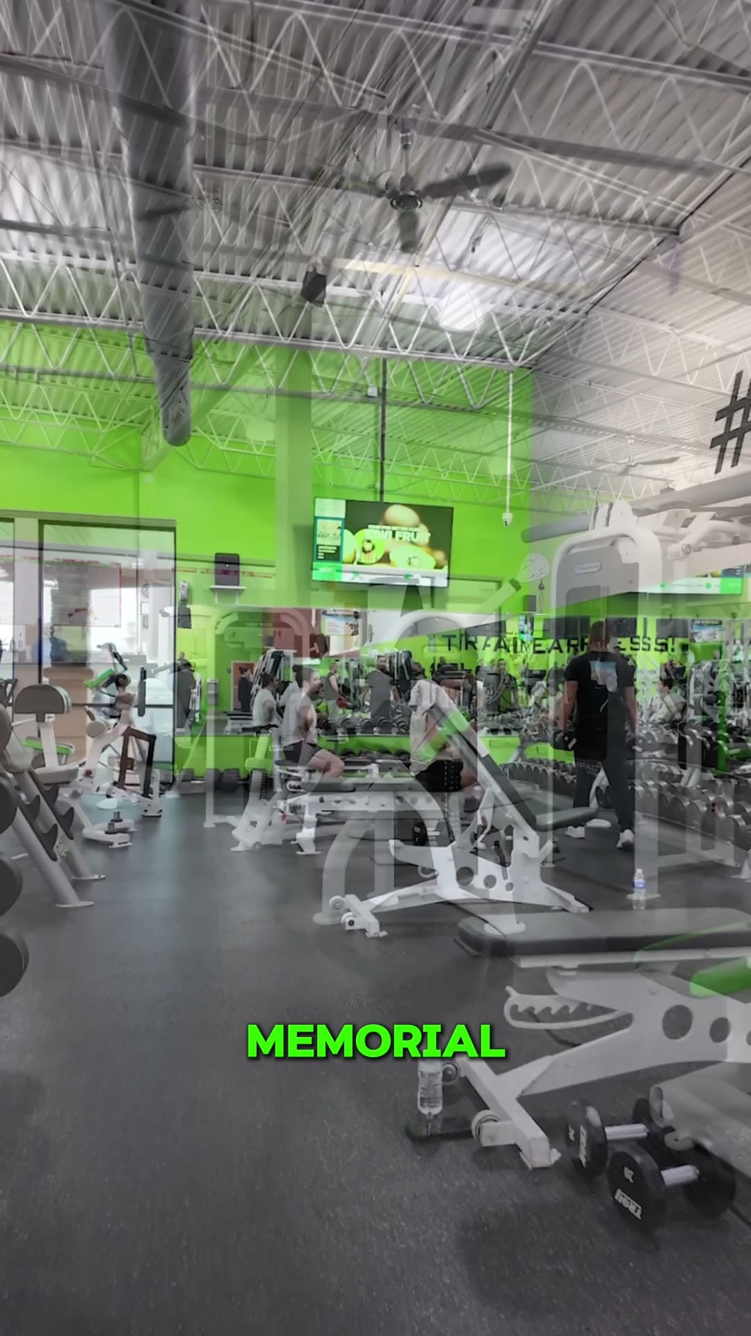 Island Gym — video
